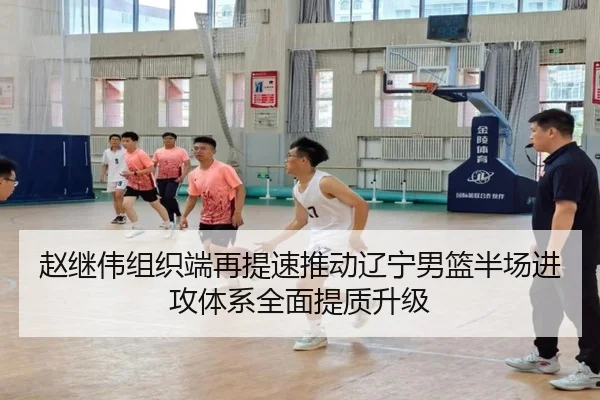 赵继伟组织端再提速推动辽宁男篮半场进攻体系全面提质升级
